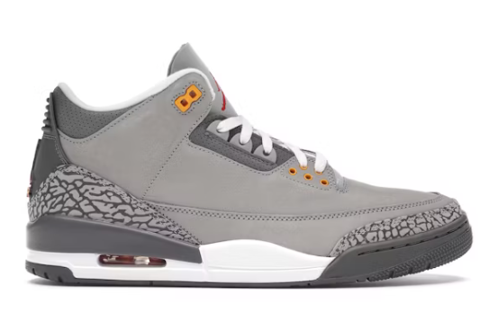 Air Jordan 3 Cool Grey (2021)