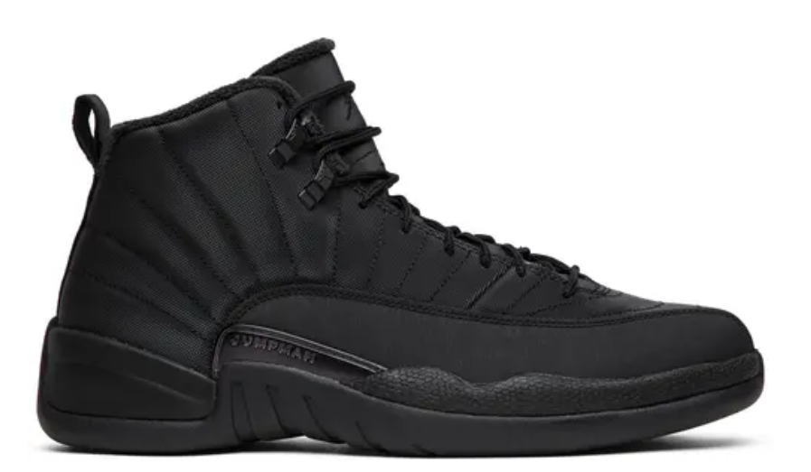Air Jordan 12 Winterized